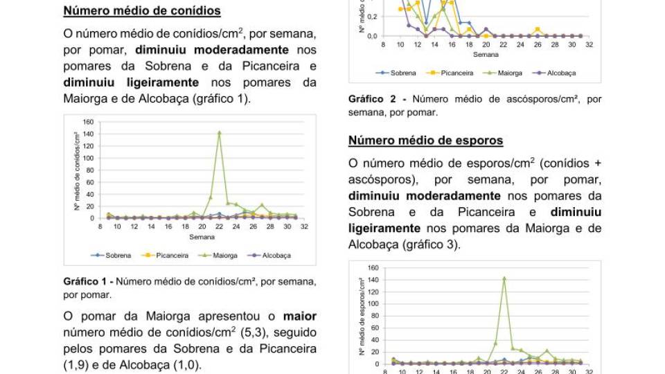 27ª Informação do GT Estenfiliose 2025