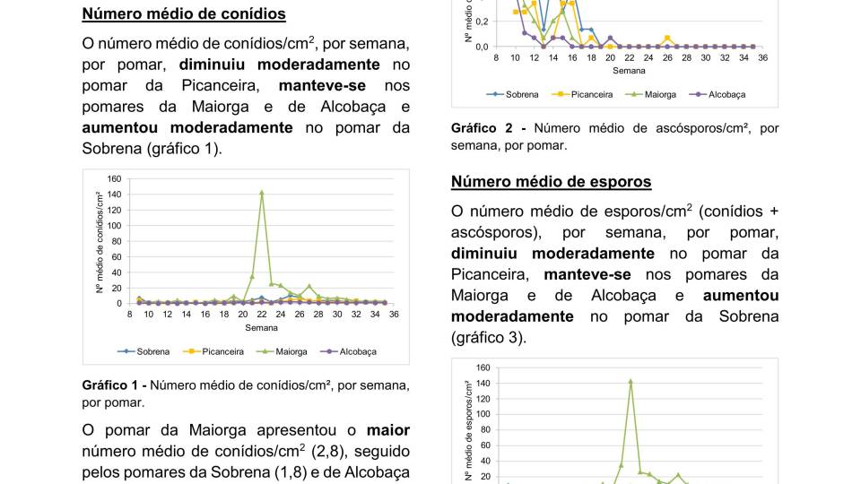 31ª Informação do GT Estenfiliose 2025