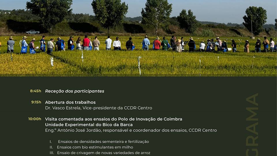 Dia Aberto – Os Cereais do Baixo Mondego