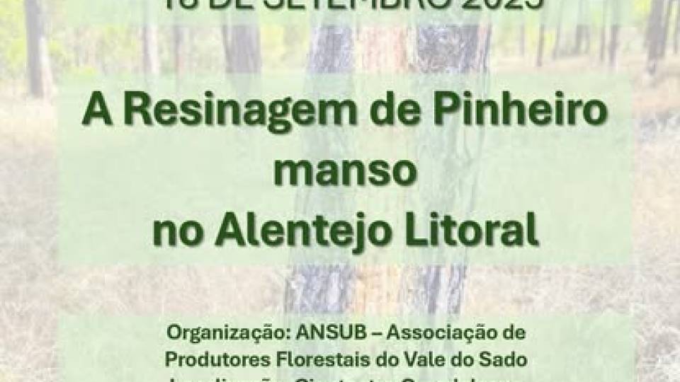 Sessão de Sensibilização: A Resinagem de Pinheiro Manso no Alentejo Litoral
