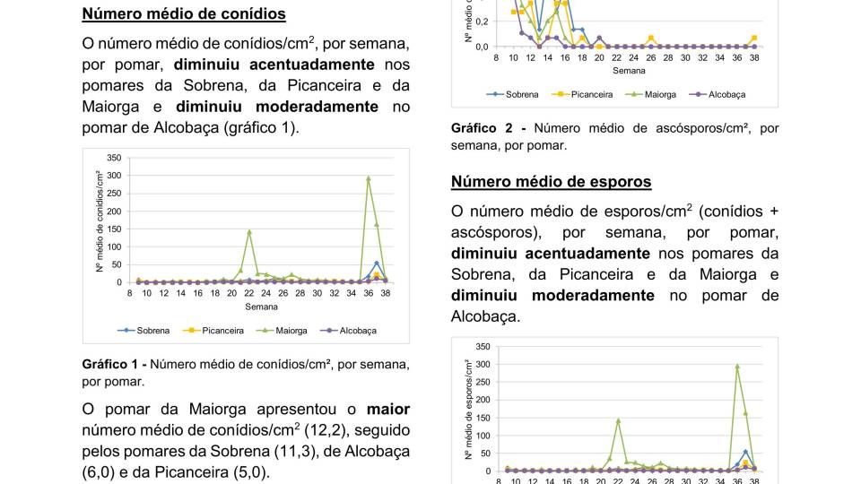 34ª Informação do GT Estenfiliose 2025