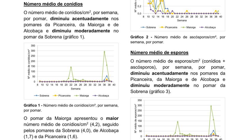 35ª Informação do GT Estenfiliose 2025