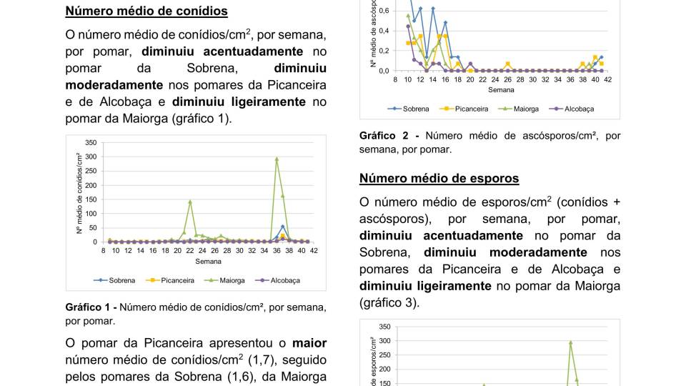 37ª Informação do GT Estenfiliose 2025