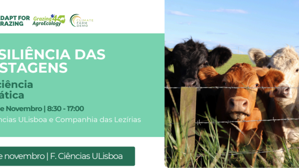 Resiliência das Pastagens: Da Ciência à Prática