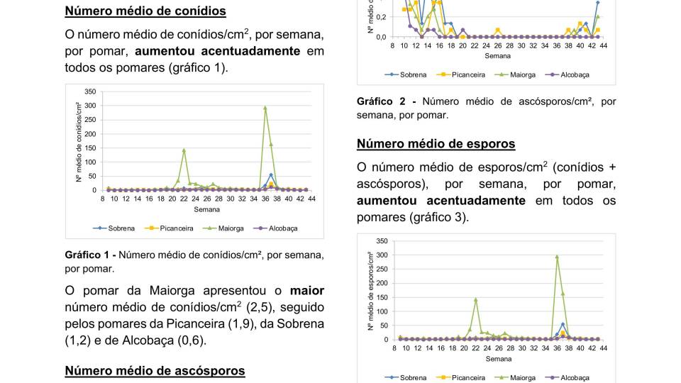 39ª Informação do GT Estenfiliose 2025