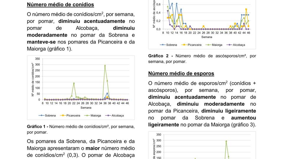 42ª Informação do GT Estenfiliose 2025