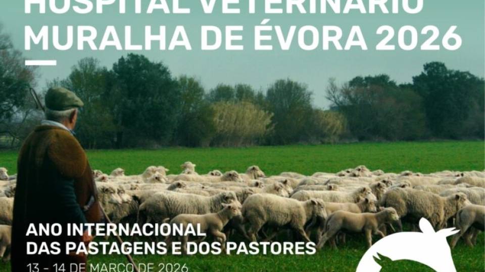 17as Jornadas Hospital Veterinário Muralha de Évora