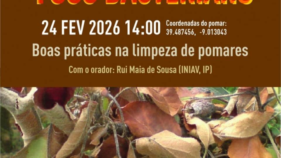 1ª Ação de Capacitação sobre Fogo Bacteriano