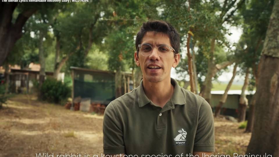 Participação do Investigador Fábio Abade dos Santos do documentário WILDHOPE “The Iberian Lynx’s Remarkable Recovery Story “