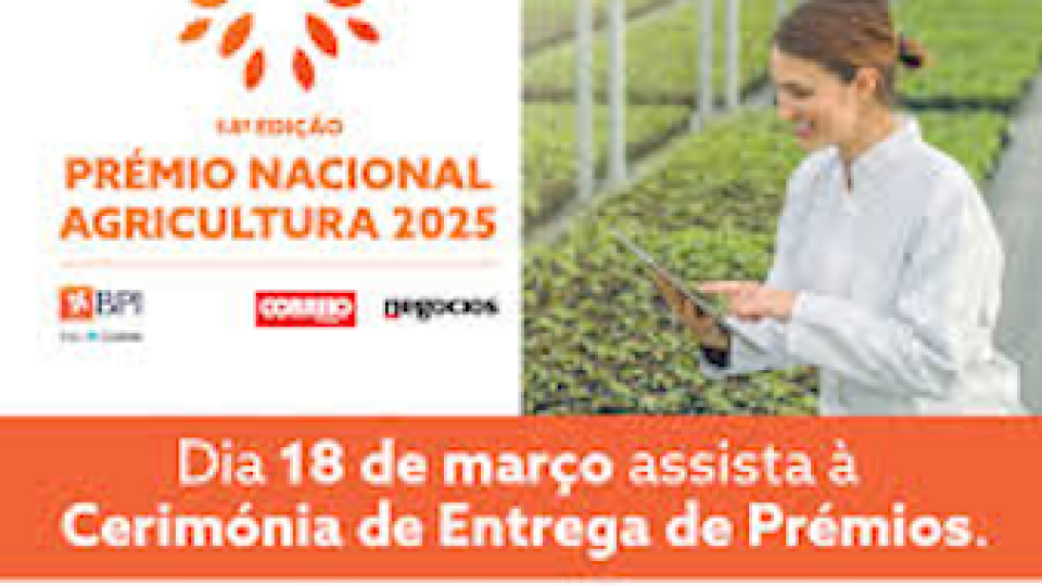 BPGV recebe Prémio BPI