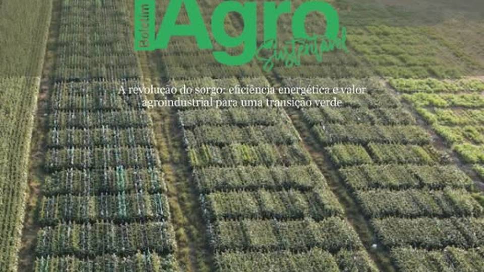 Boletim Agro Sustentável da Embaixada do Brasil em Lisboa (Edição 11 - Março 2026)