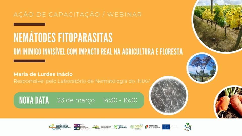 Webinar | Nemátodos fitoparasitas – um inimigo invisível com impacto real na agricultura e floresta