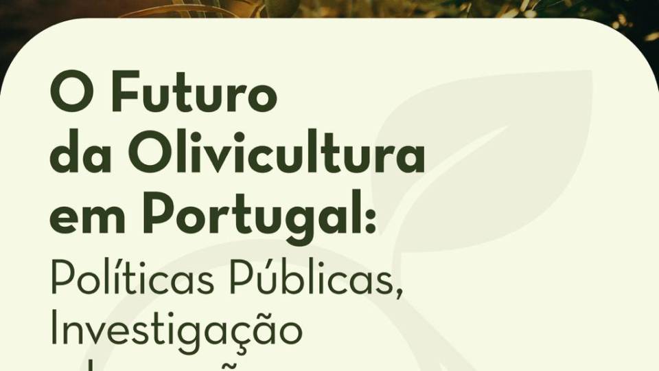 O Futuro da Olivicultura em Portugal: Políticas Públicas, Investigação e Inovação