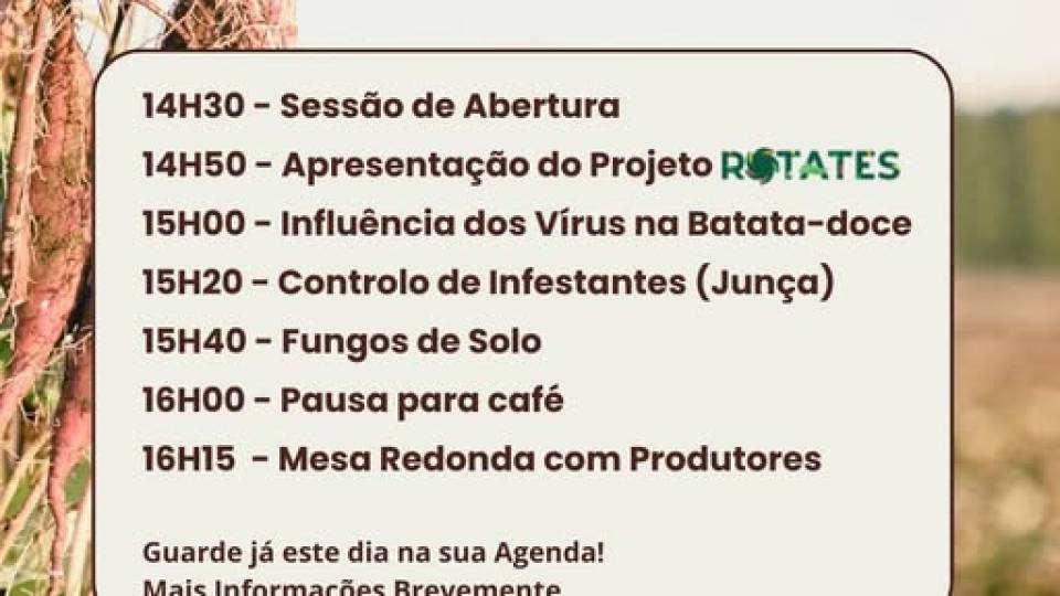 DIA DA BATATA-DOCE – Torres Vedras