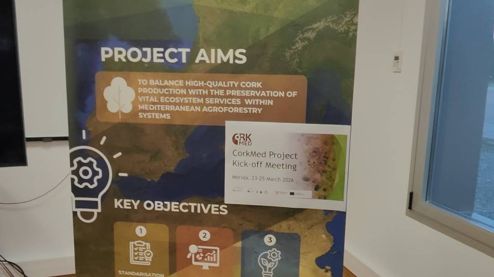 Reunião do Projeto CorkMED
