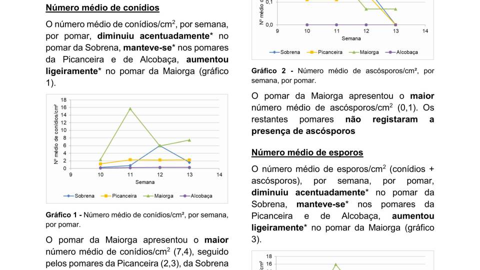7ª Informação do GT Estenfiliose 2026