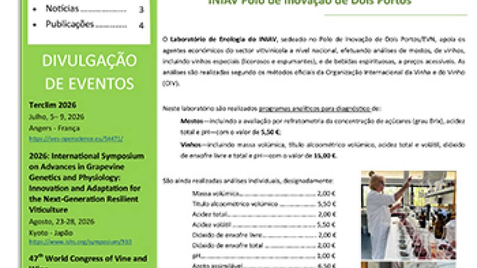 Folha Informativa de Dois Portos do mês de junho 2026
