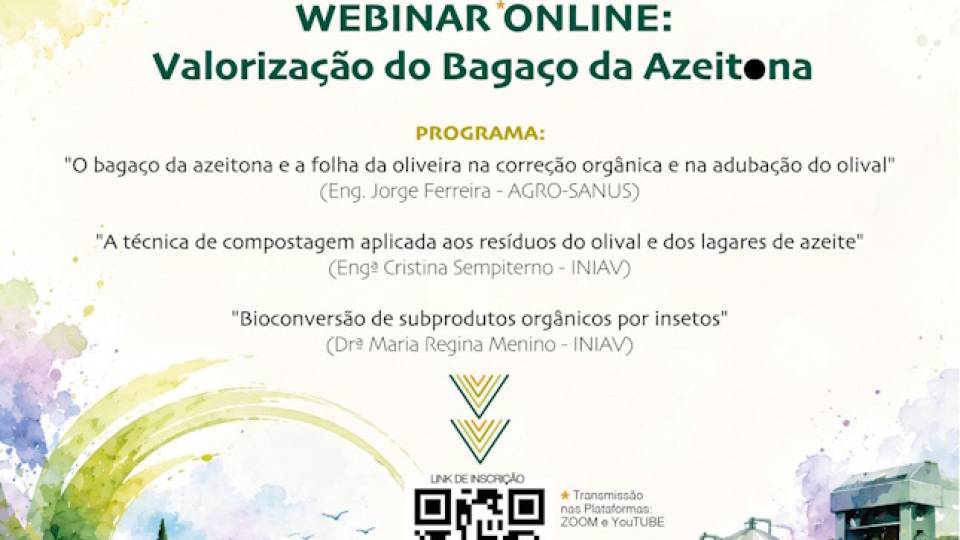 Webinar Online | Valorização do Bagaço da Azeitona
