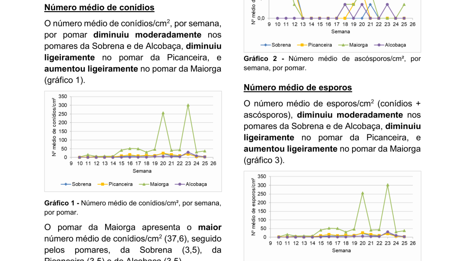 19ª Informação do GT Estenfiliose 2026